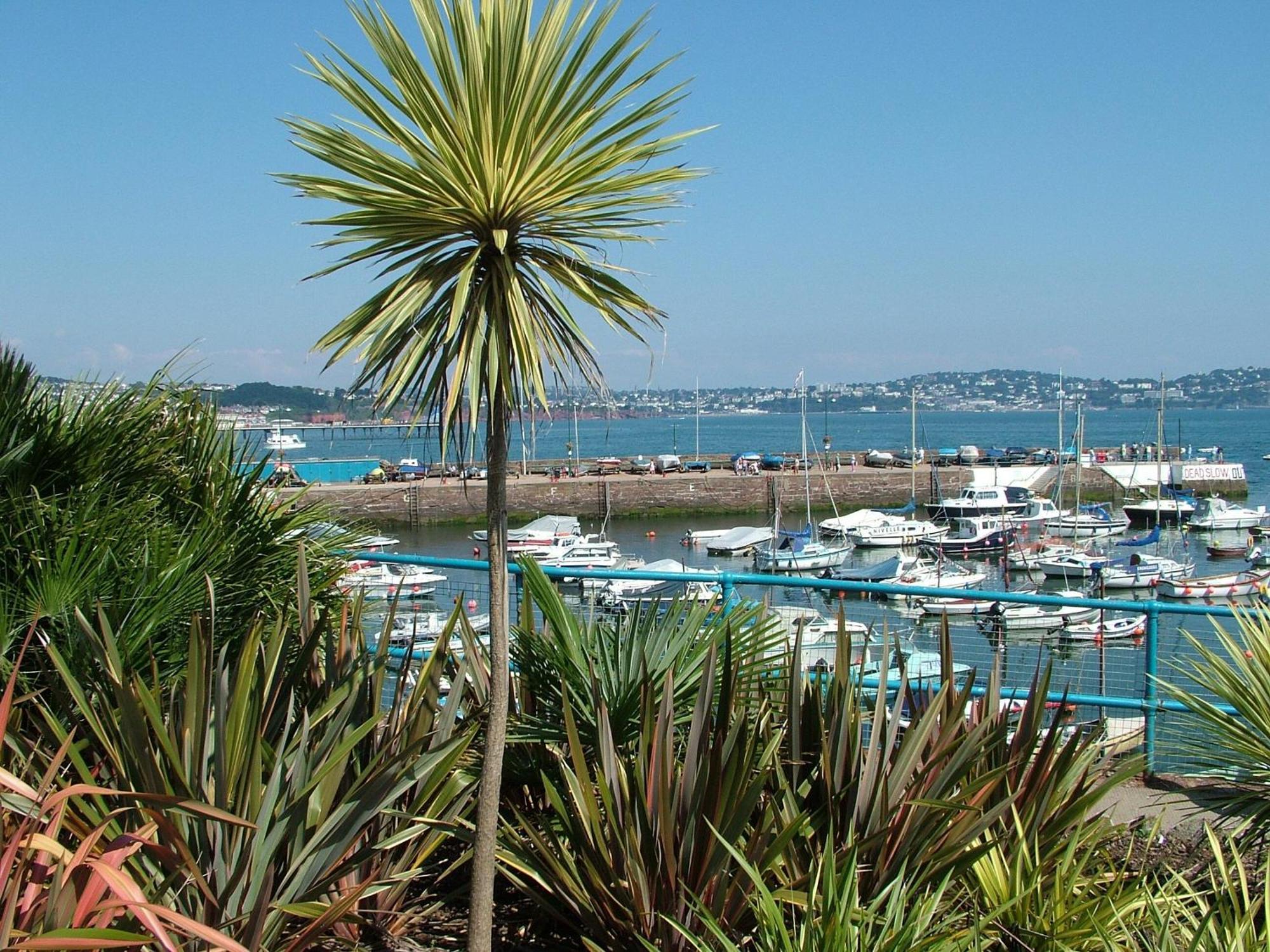 8 Belvedere Court Paignton Esterno foto